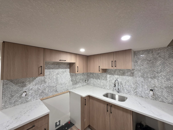Secondary Suite Kitchen Renovation